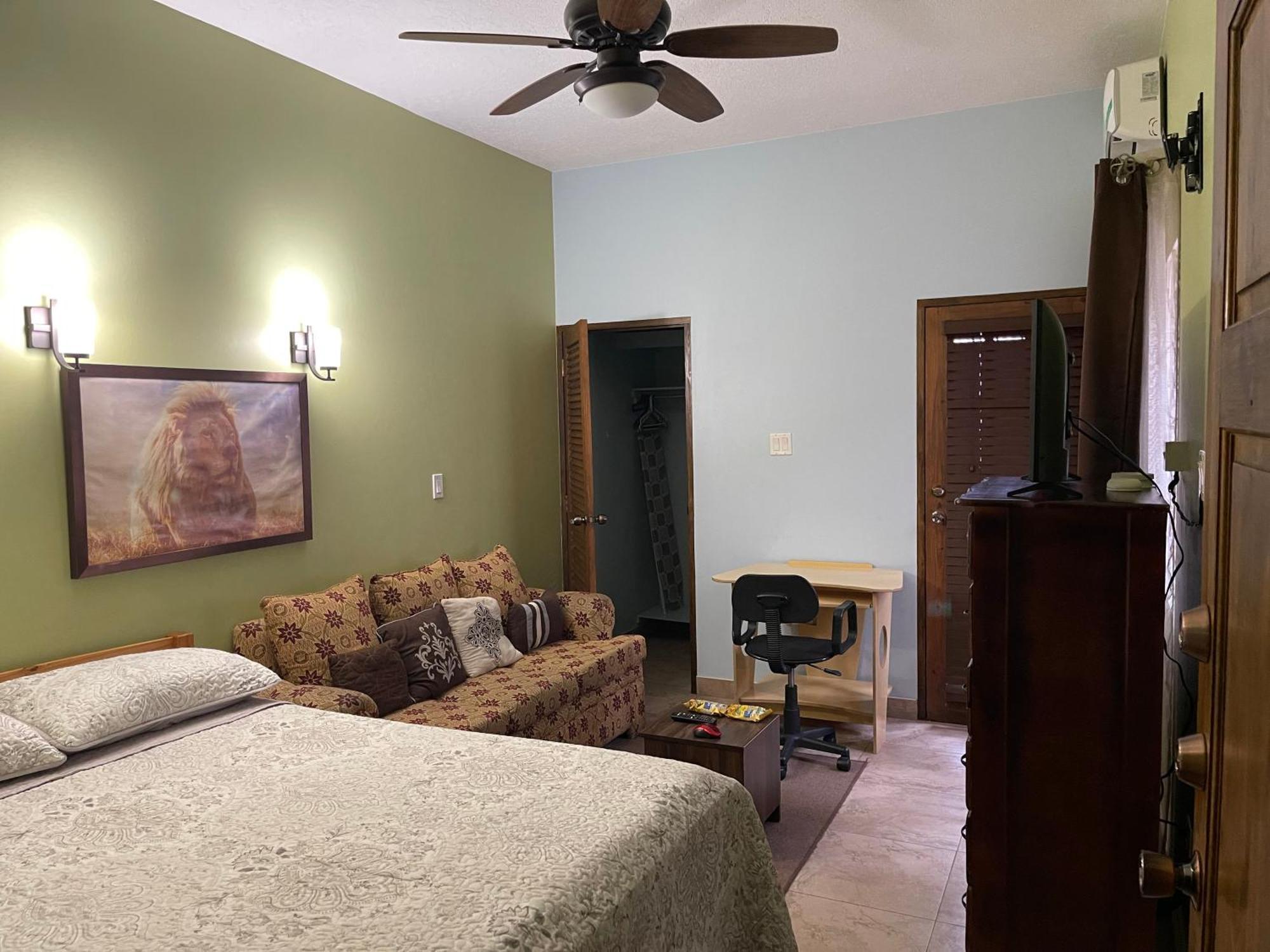 Le Quad - One Bedroom & Studio Apt - Private, Spacious & Secured Κίνγκστον Εξωτερικό φωτογραφία